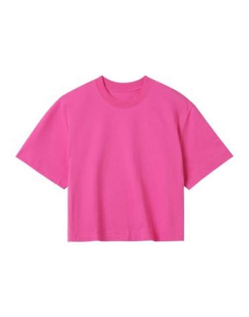 True Blanks Womens Crop Top